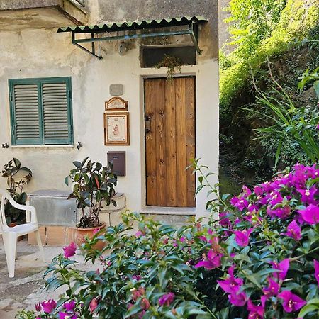 Appartamento Nel Borgo - Casa Del Pellegrino Sulla Via Francigena آولا المظهر الخارجي الصورة